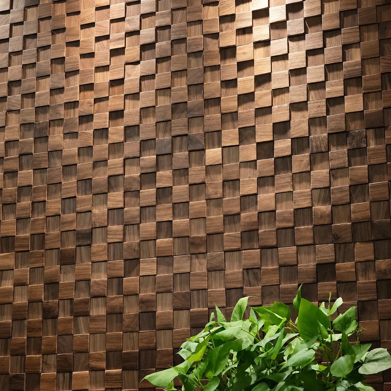 Mur entièrement recouvert de panneaux Karo en petits cubes de bois de noyer à relief, avec une plante verte au premier plan